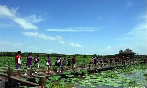 南沙湿地公园租单车_南沙湿地公园租单车电