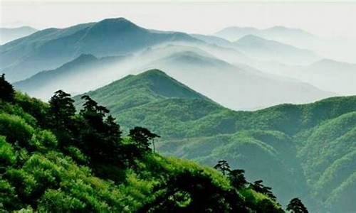 天目山旅游攻略自驾游_天目山旅游攻略自驾