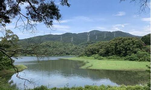 天竺山森林公园自驾_天竺山森林公园自驾路