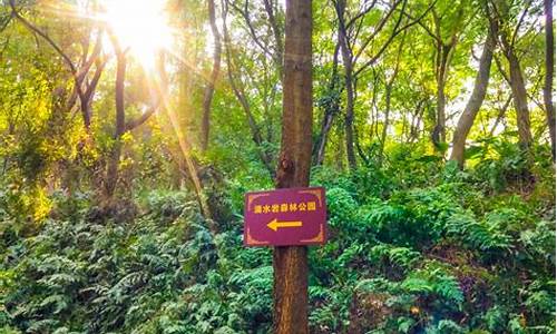 滴水岩森林公园与大夫山森林公园_滴水岩森林公园大夫山森林公园