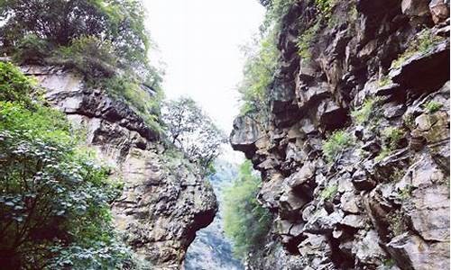 红河谷森林公园风景区_红河谷森林公园风景区介绍