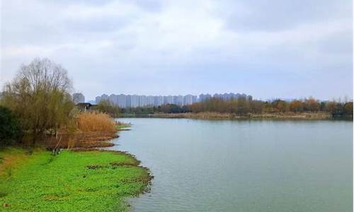 长沙 洋湖湿地公园_长沙洋湖湿地公园要门票吗