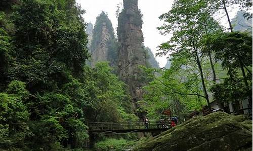 武汉到张家界旅游攻略_武汉到张家界旅游攻略二日游