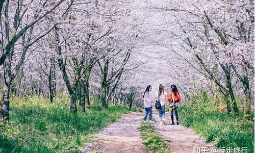 春季最佳旅游景点_春季旅游攻略景点推荐一日游