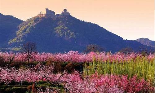 平谷桃花节一日游攻略_平谷桃花节