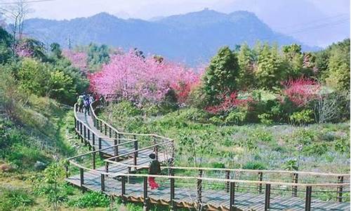 阿里山门票价格_阿里山旅游攻略必玩的景点