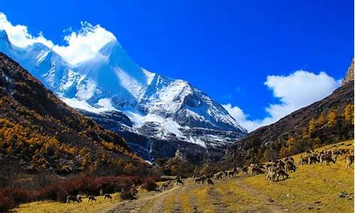 稻城亚丁旅游攻略景点大全_稻城亚丁旅游攻略景点大全图片