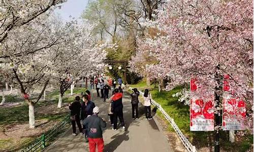 玉渊潭公园樱花节门票_北京玉渊潭公园樱花节门票